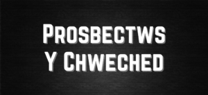 Prospectws Chweched